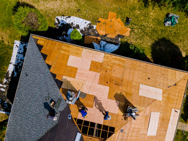 Best Gutter Installation and Roofing  in Shamrock, TX